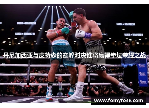 丹尼加西亚与皮特森的巅峰对决谁将赢得拳坛荣耀之战